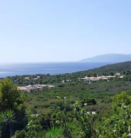 Easy Wind Проживание в семье