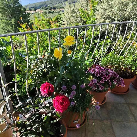 Easy Wind Homestay szállás Cala Gonone