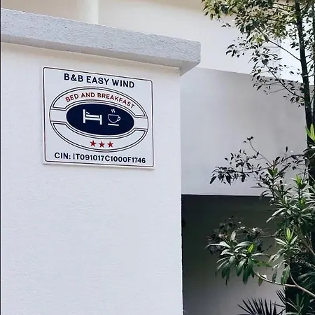 Easy Wind Проживание в семье *