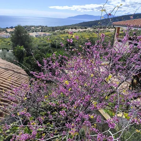 Easy Wind Homestay szállás Cala Gonone