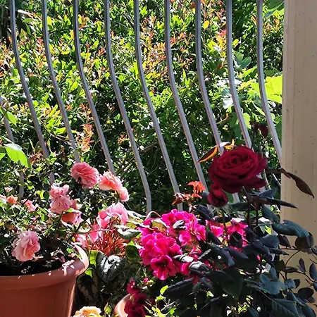 Homestay szállás Easy Wind *