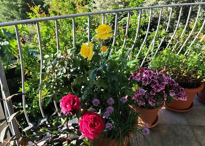 Easy Wind Ubytování v soukromí Cala Gonone