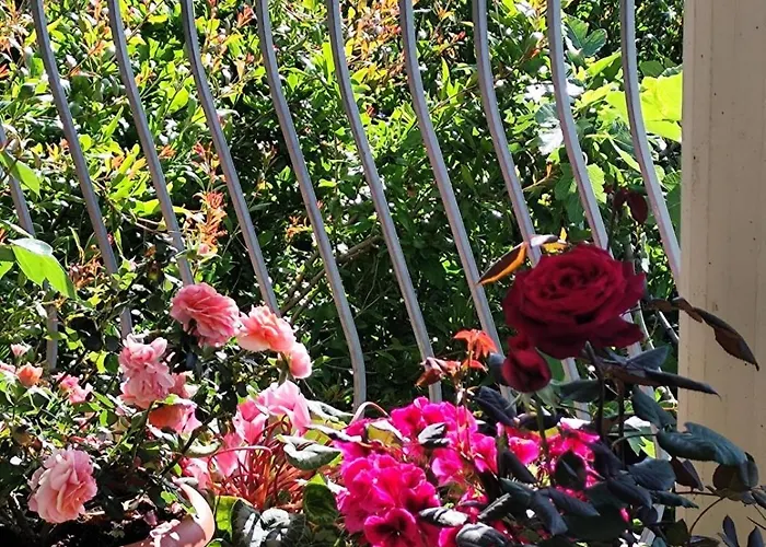 Ubytování v soukromí Easy Wind *