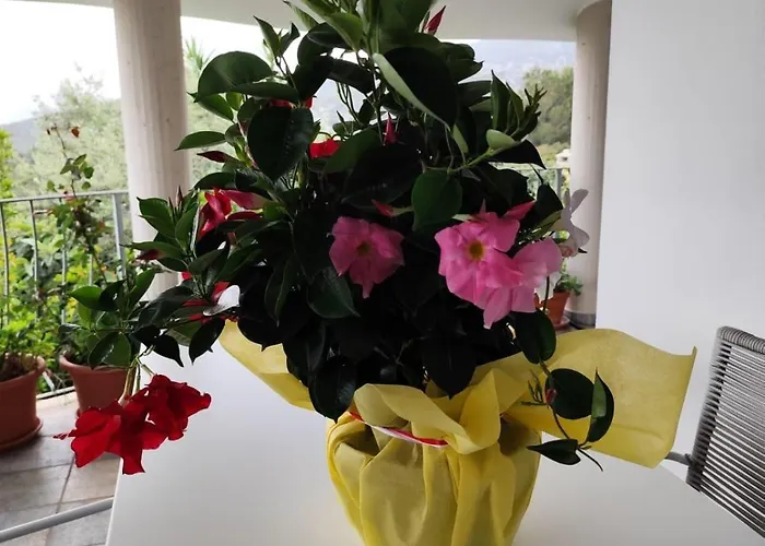 Easy Wind Cala Gonone