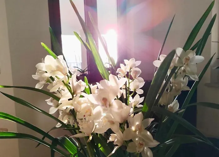 Ubytování v soukromí Easy Wind Cala Gonone