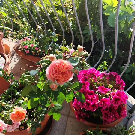 منزل للإقامة Easy Wind