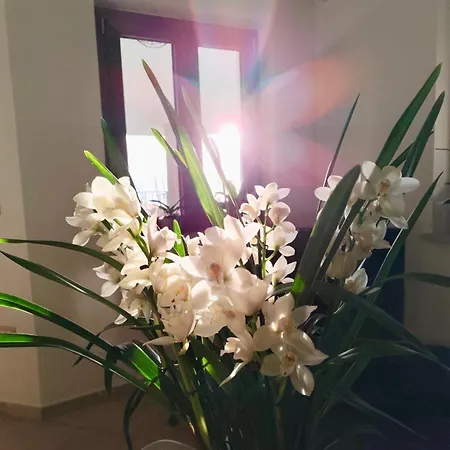Homestay Easy Wind Cala Gonone