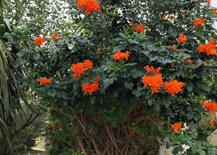 Easy Wind Cala Gonone